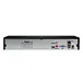 nvr ip camera